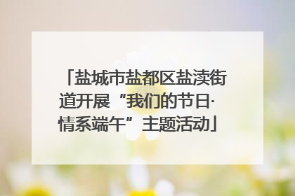 盐城市盐都区盐渎街道开展“我们的节日·情系端午”主题活动