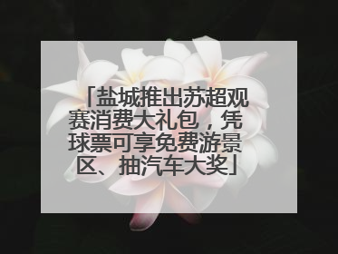 盐城推出苏超观赛消费大礼包，凭球票可享免费游景区、抽汽车大奖