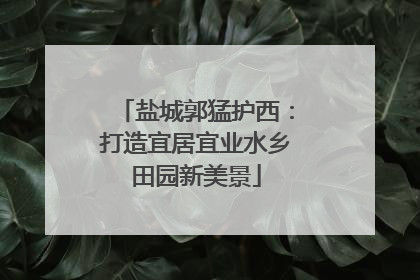 盐城郭猛护西：打造宜居宜业水乡田园新美景