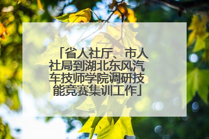 省人社厅、市人社局到湖北东风汽车技师学院调研技能竞赛集训工作