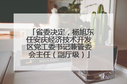 省委决定，杨旭东任安庆经济技术开发区党工委书记兼管委会主任（副厅级）