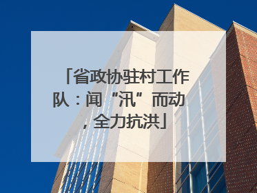 省政协驻村工作队：闻“汛”而动，全力抗洪