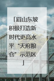 眉山东坡积极打造新时代更高水平“天府粮仓”示范区