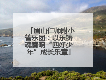 眉山仁师附小管乐团：以乐铸魂奏响“四好少年”成长乐章