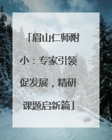 眉山仁师附小：专家引领促发展，精研课题启新篇