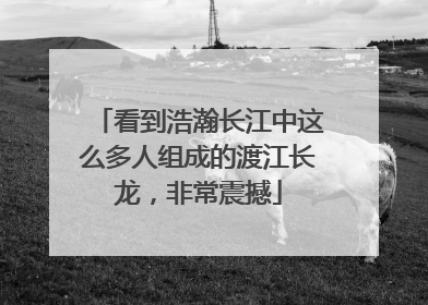 看到浩瀚长江中这么多人组成的渡江长龙，非常震撼