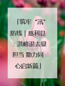 筑牢“汛”防线｜慈利县：洪峰退去显担当 勠力同心启新篇
