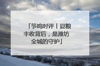 筝鸣时评丨夏粮丰收背后，是潍坊全城的守护
