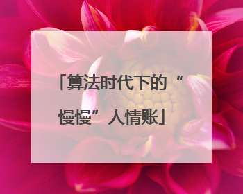 算法时代下的“慢慢”人情账