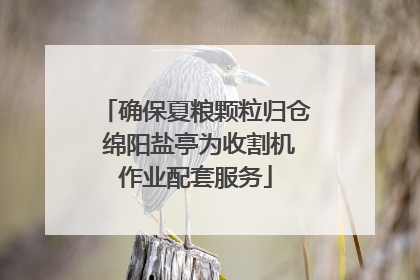 确保夏粮颗粒归仓 绵阳盐亭为收割机作业配套服务