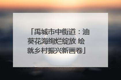禹城市中街道：油葵花海绚烂绽放 绘就乡村振兴新画卷