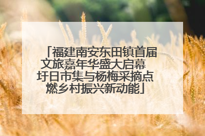 福建南安东田镇首届文旅嘉年华盛大启幕 圩日市集与杨梅采摘点燃乡村振兴新动能