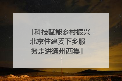 科技赋能乡村振兴 北京住建委下乡服务走进通州西集
