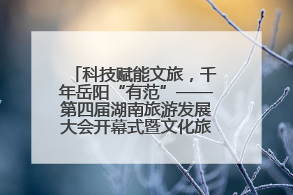 科技赋能文旅，千年岳阳“有范”——第四届湖南旅游发展大会开幕式暨文化旅游推介会侧记