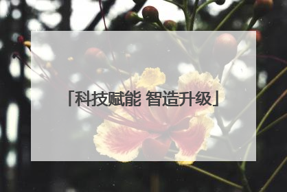 科技赋能 智造升级