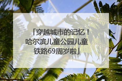 穿越城市的记忆！哈尔滨儿童公园儿童铁路69周岁啦