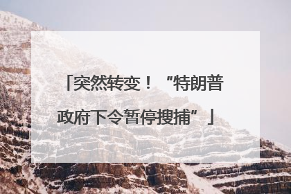 突然转变！“特朗普政府下令暂停搜捕”
