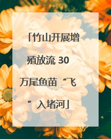 竹山开展增殖放流 30万尾鱼苗“飞”入堵河