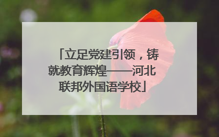 立足党建引领，铸就教育辉煌——河北联邦外国语学校