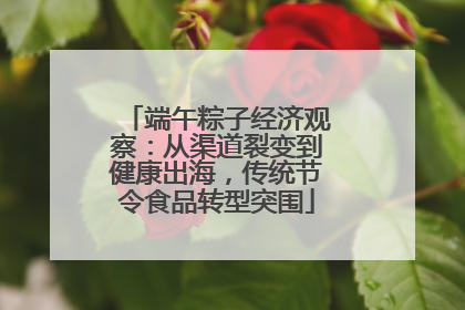 端午粽子经济观察：从渠道裂变到健康出海，传统节令食品转型突围