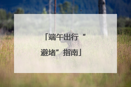 端午出行“避堵”指南