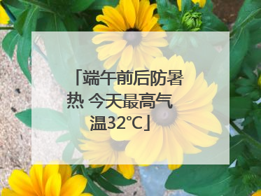 端午前后防暑热 今天最高气温32℃
