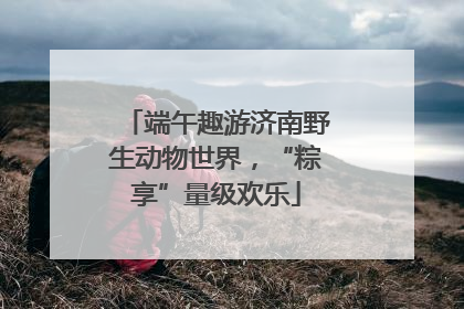端午趣游济南野生动物世界，“粽享”量级欢乐