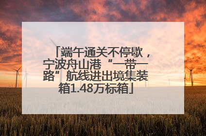 端午通关不停歇，宁波舟山港“一带一路”航线进出境集装箱1.48万标箱