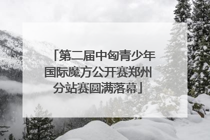 第二届中匈青少年国际魔方公开赛郑州分站赛圆满落幕