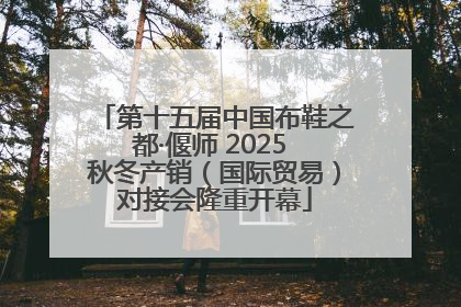 第十五届中国布鞋之都·偃师 2025 秋冬产销（国际贸易）对接会隆重开幕