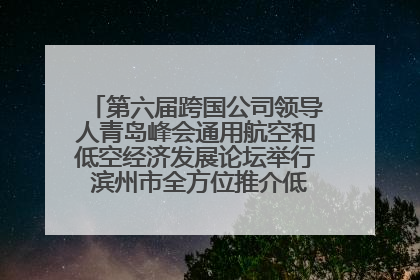 第六届跨国公司领导人青岛峰会通用航空和低空经济发展论坛举行 滨州市全方位推介低空经济发展优势