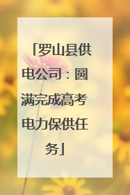 罗山县供电公司：圆满完成高考电力保供任务