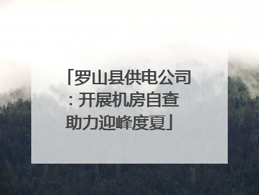 罗山县供电公司：开展机房自查 助力迎峰度夏