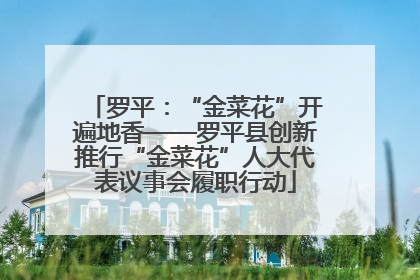 罗平：“金菜花”开遍地香——罗平县创新推行“金菜花”人大代表议事会履职行动