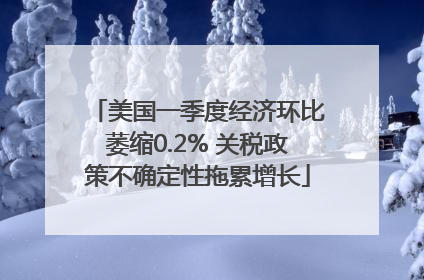 美国一季度经济环比萎缩0.2% 关税政策不确定性拖累增长