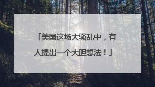 美国这场大骚乱中，有人提出一个大胆想法！
