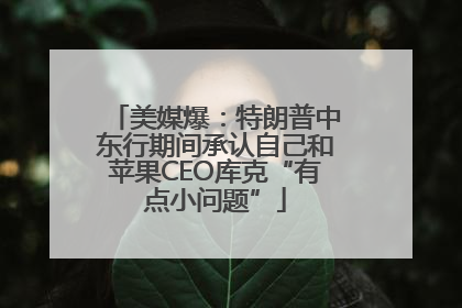 美媒爆：特朗普中东行期间承认自己和苹果CEO库克“有点小问题”