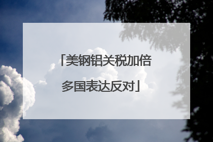 美钢铝关税加倍 多国表达反对