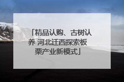 精品认购、古树认养 河北迁西探索板栗产业新模式