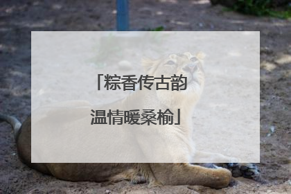 粽香传古韵 温情暖桑榆