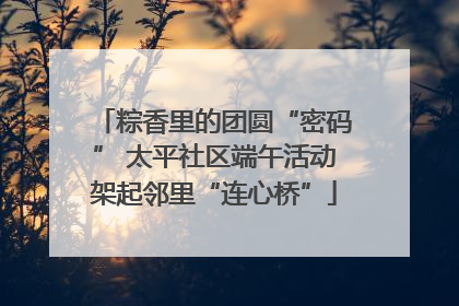 粽香里的团圆“密码” 太平社区端午活动架起邻里“连心桥”