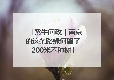 紫牛问政｜南京的这条路缘何留了200米不种树