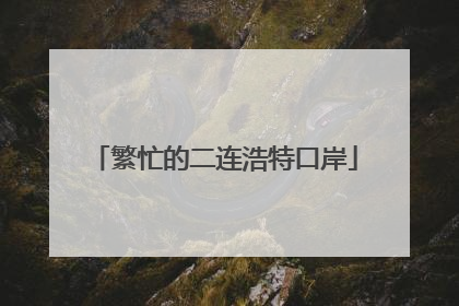 繁忙的二连浩特口岸