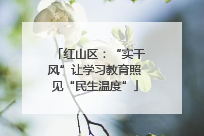 红山区：“实干风”让学习教育照见“民生温度”