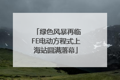绿色风暴再临 FE电动方程式上海站圆满落幕