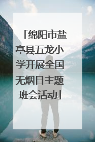 绵阳市盐亭县五龙小学开展全国无烟日主题班会活动