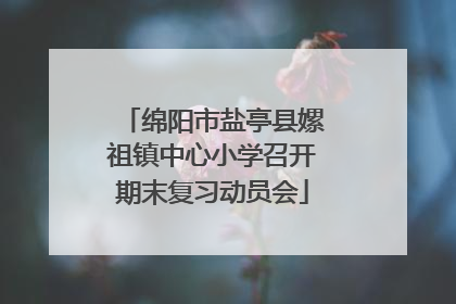 绵阳市盐亭县嫘祖镇中心小学召开期末复习动员会