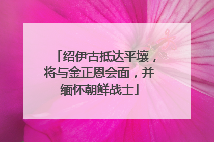 绍伊古抵达平壤，将与金正恩会面，并缅怀朝鲜战士