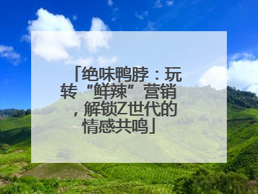 绝味鸭脖：玩转“鲜辣”营销，解锁Z世代的情感共鸣