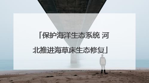 保护海洋生态系统 河北推进海草床生态修复